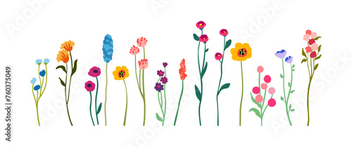 A set of delicate graceful wildflowers on tall stems with foliage. Simple floral elements. Wild plants isolated on white background. Flat vector illustration.