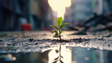 A tree sprout emerges from the asphalt in the city center, highlighting ecology and nature conservation