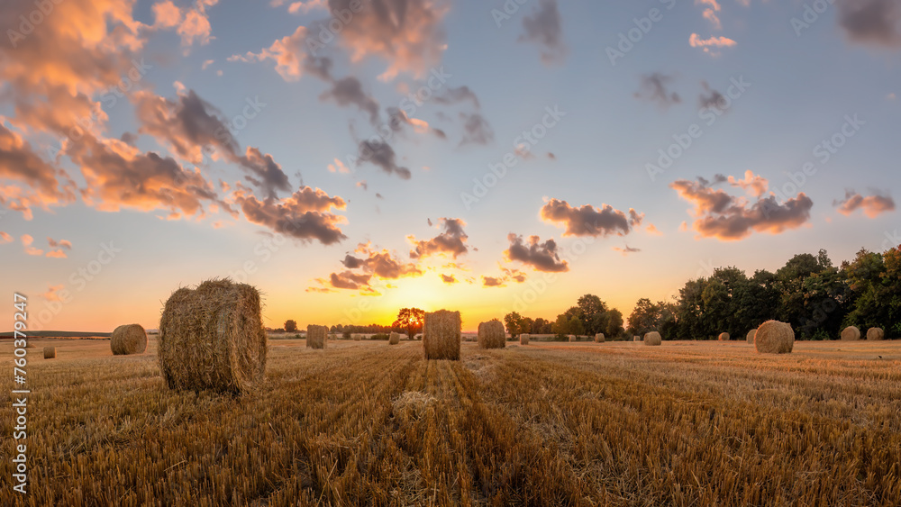 Hay bales on a field in a golden coloured sunset - obrazy, fototapety, plakaty 