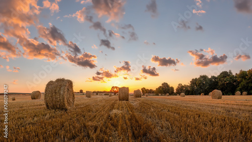 Hay bales on a field in a golden coloured sunset photo