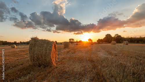 Hay bales on a field in a golden coloured sunset