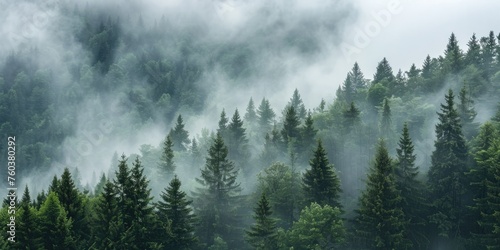 beautiful view ofer a foggy forest from hill © David Kreuzberg