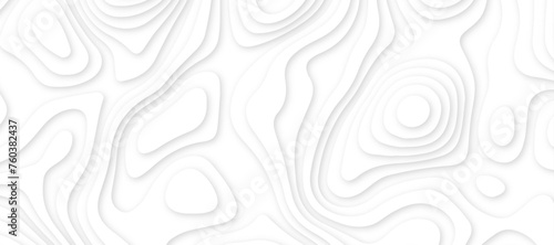 Abstract white luxury paper cut banner concept .abstract wavy line 3d paper cut white background texture .white wave paper curved reliefs background design .