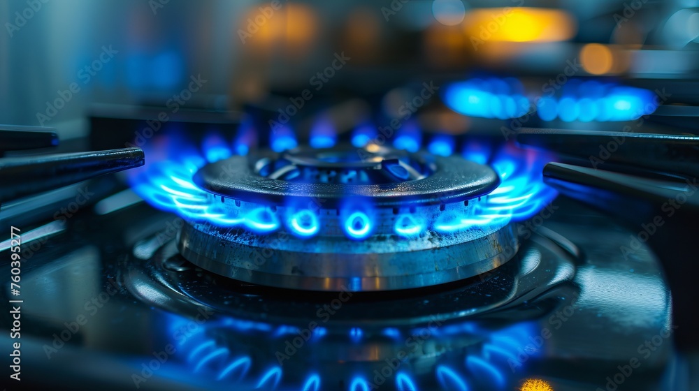 Gas stove, gas burner, cooking stove close up view. Gas stove, gas burner, cooking stove close up view.
