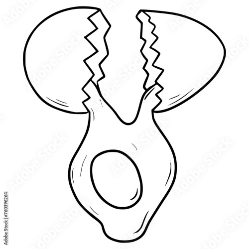 cracking egg illustration hand drawn outline isolated vector