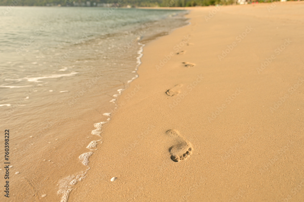 Footprints on the beach with sunny.Small sand molding of the wind crab on the natural beach sand Footprints on the beach with sunny.Small sand molding of the wind crab on the natural beach sand
