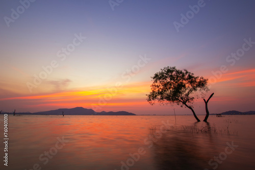 Lonely tree at sunset twilight in the middle of the lake. Death trees are in the lake of thailand. © Love You Stock