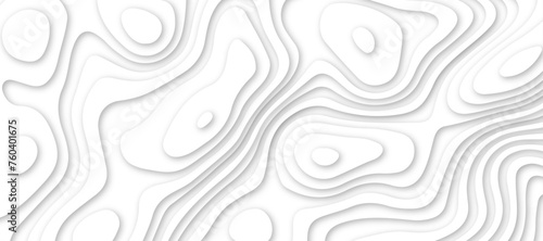 Abstract white luxury paper cut banner concept .abstract wavy line 3d paper cut white background texture .white wave paper curved reliefs background design .