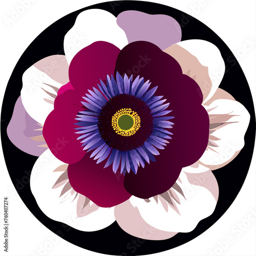 Anemone nature is a beautiful and fascinating underwater world.