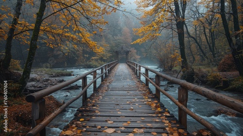 Wooden pathway above the water with autumn trees in the distance in the forest 