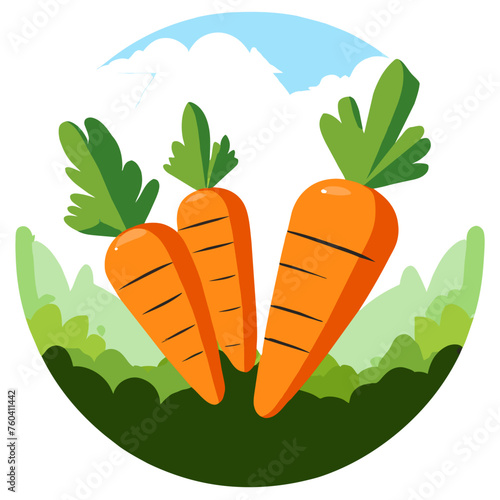 Carrots grow naturally in the ground.
