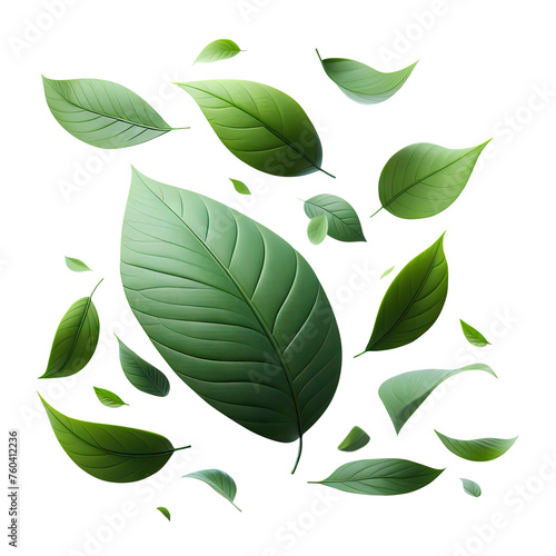 leaf green isolate PNG transparent photo