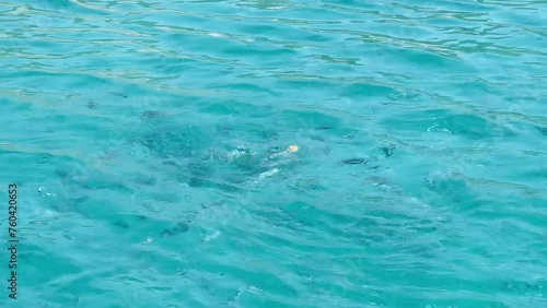 Wallpaper Mural Clear turquoise sea waters, summer holiday travel Torontodigital.ca