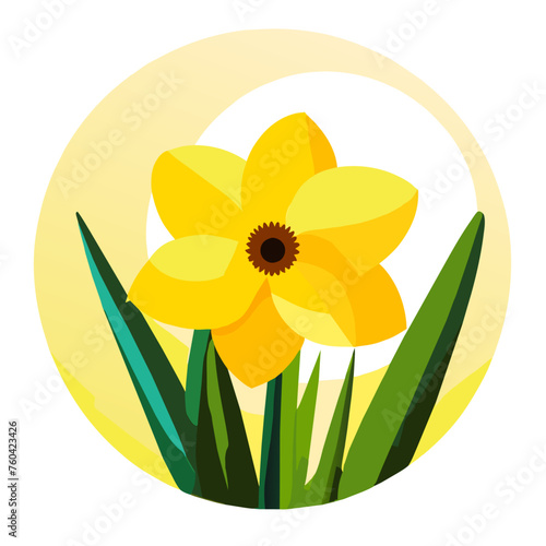 Yalla's daffodils are an iconic symbol of springtime beauty, with their bright yellow petals and cheerful disposition.
