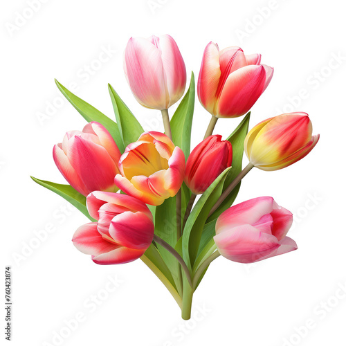 Wallpaper Mural Beautiful tulip flower isolated on white Torontodigital.ca