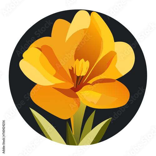 Freesia flowers bloom in vibrant hues, exuding a sweet fragrance that fills the air.