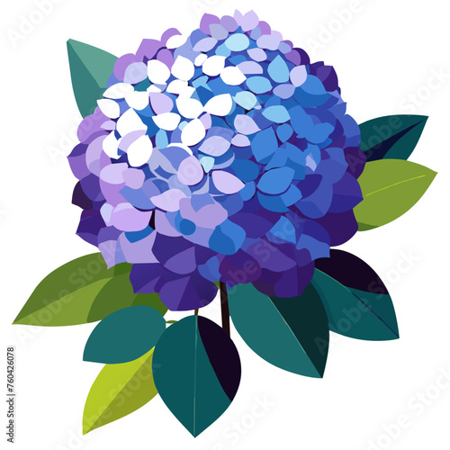 The hydrangea, with its vibrant blooms and lush foliage, brings a touch of natural beauty to any setting.