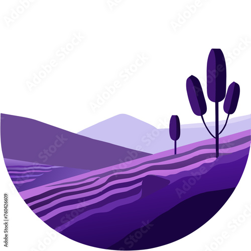 Lavender plants bloom in abundance in nature, giving off a sweet and relaxing aroma.