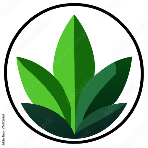 A verdant leaf unfurls against a natural backdrop, showcasing the intricate veins that nourish its vibrant life.