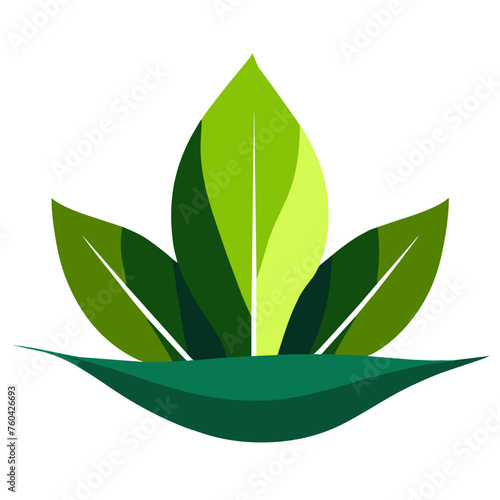 A verdant leaf unfurls its intricate veins beneath the sun's gentle embrace.