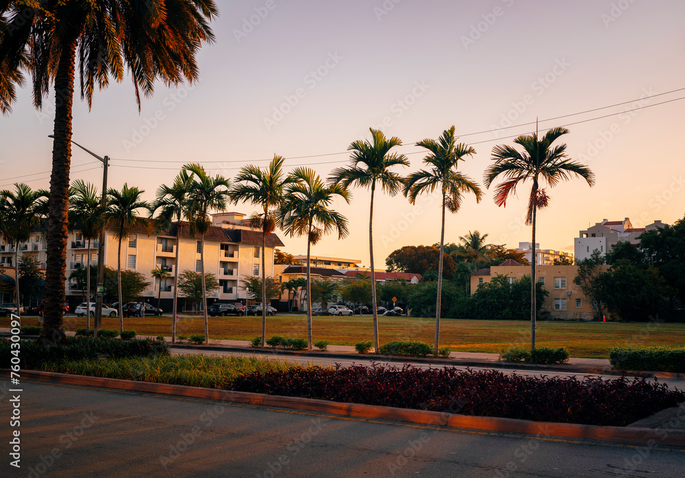Obraz premium palm trees at sunset coral gables street miami