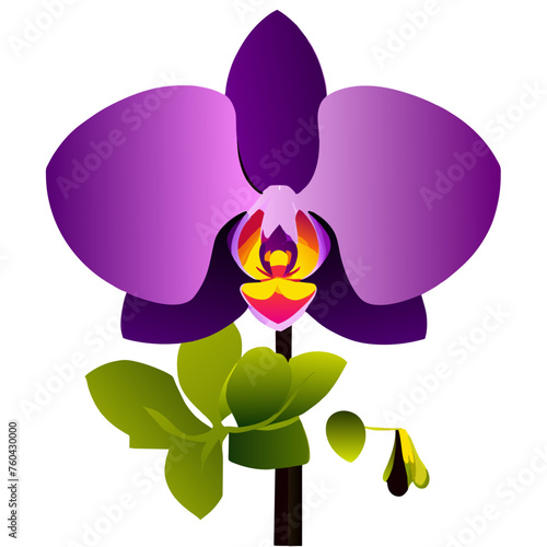 Orchids bloom in profusion, showcasing their vibrant colors and intricate patterns.