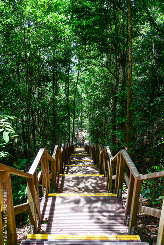 MacRitchie Reservoir Park in Singapore