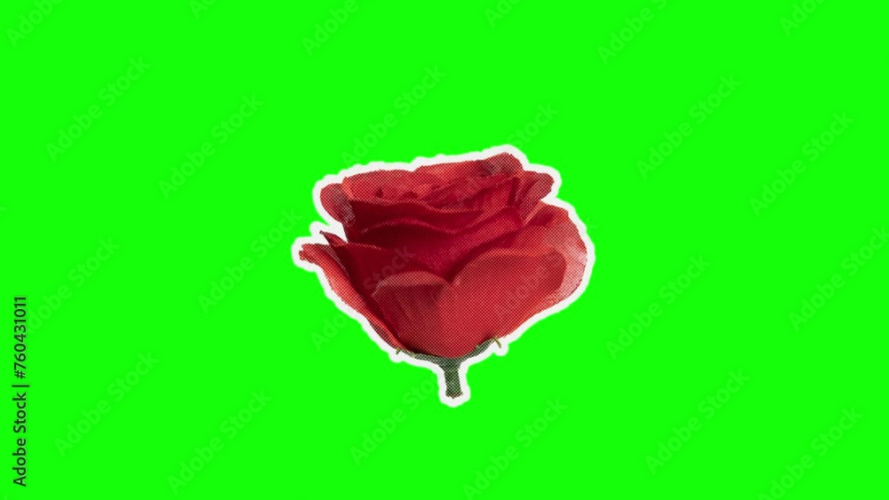 rotating roses with strokes animation on green screen, collage art ...