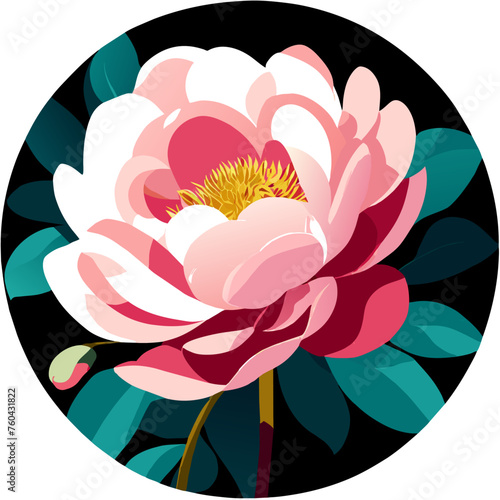 Peony in nature is a beautiful flower that can brighten up any garden.