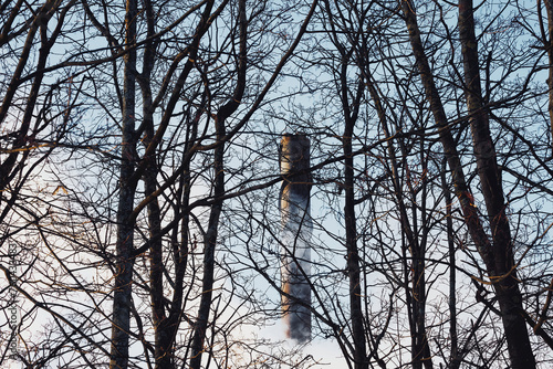 industrial smoke stack behind the trees photo