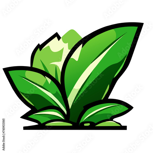 Nature's verdant bounty, a vibrant tapestry of spinach.