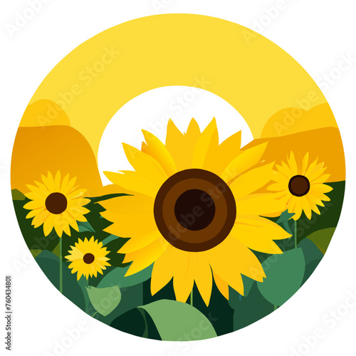 Golden sunflowers sway gracefully in a field, their cheerful faces turned towards the sun.