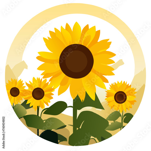 Sunflowers ablaze in the sunlight, a vibrant spectacle of nature.