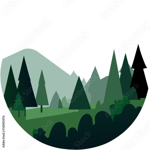 The trees stood tall in the forest, casting long shadows on the lush undergrowth.