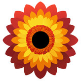 Zinnia nature showcases the vibrant beauty of zinnias in a natural setting.