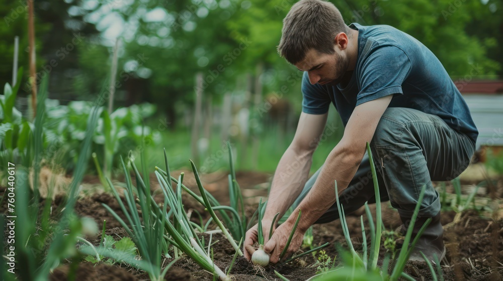 Fototapeta premium young adult farming onions