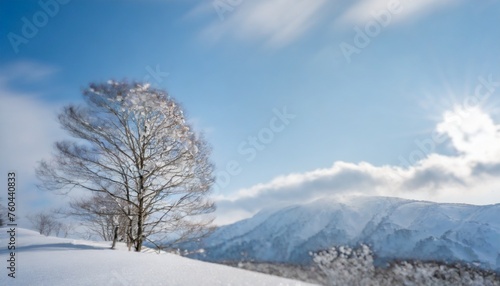 雪景色　一本の美しい樹氷のあるナチュラルで幻想的な冬の風景 © uumm