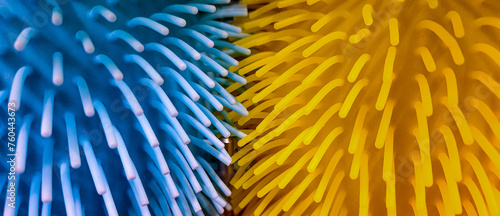 Panel kuchenny z motywem 3245443