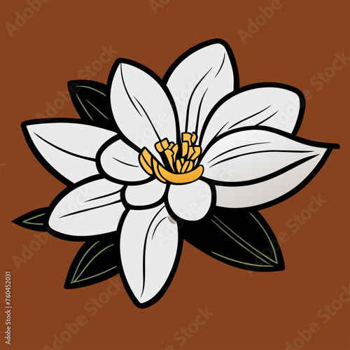 trend flowers jasmine simple Design illustration