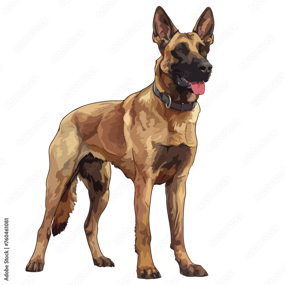 Belgian Malinois clipart Clipart isolated on white background