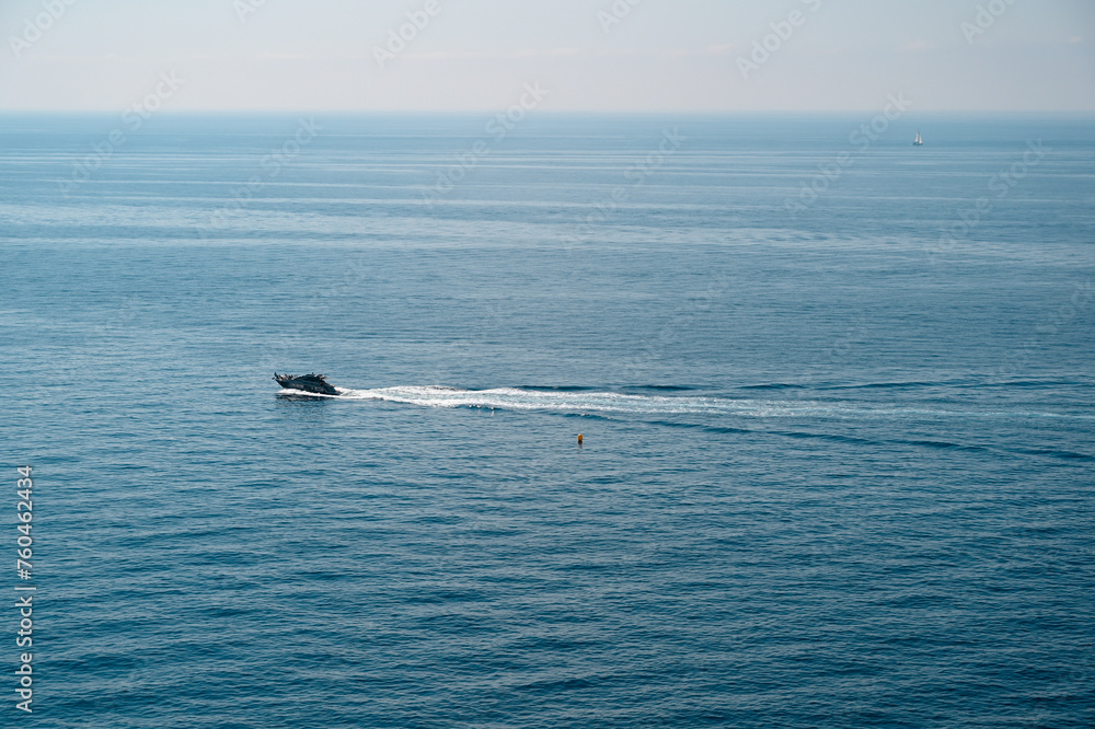 Fototapeta premium whale in the sea