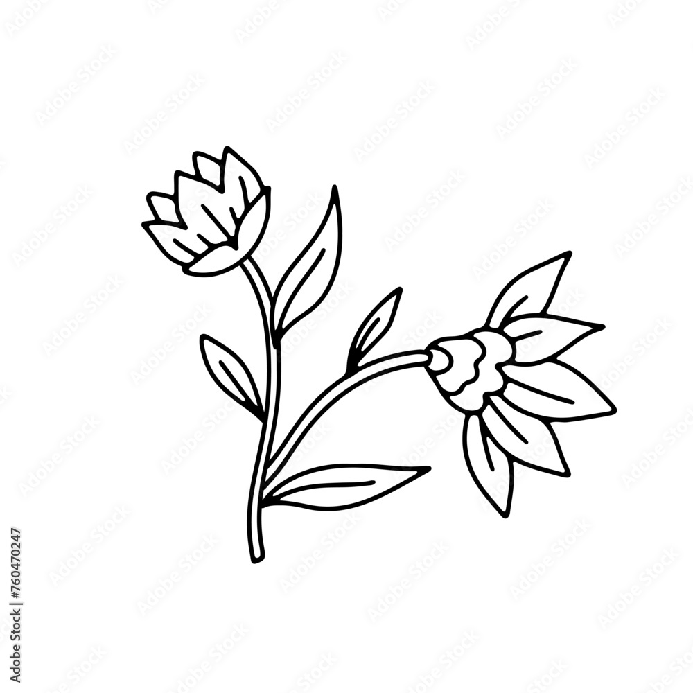 Monochrome black and white floral chinoiserie style flower isolated on white background. Abstract hand drawn botanical clip art element.