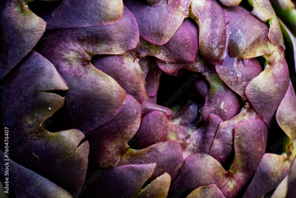 details of artichoke in roma's market details of artichoke in roma's market