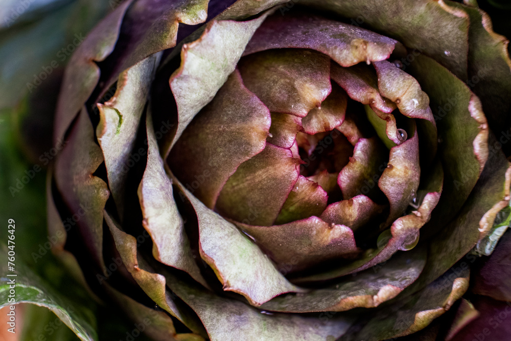 Obraz premium details of artichoke in roma's market