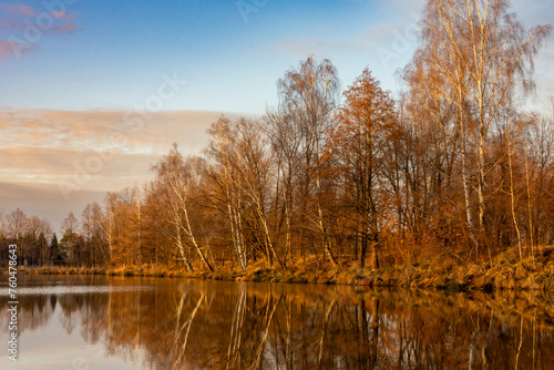 Pond in sunset