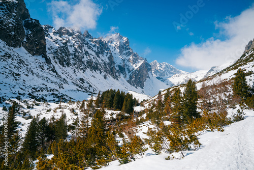 Winter, snowy landscape, high rocky peaks, old spruce forest, bright sunny, winter day. High Tatras, Hrebienok, Slovakia. Pine tree in winter landscape.