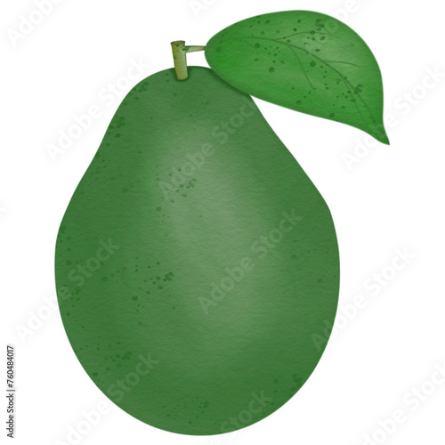Avocado hand drawn fruit
