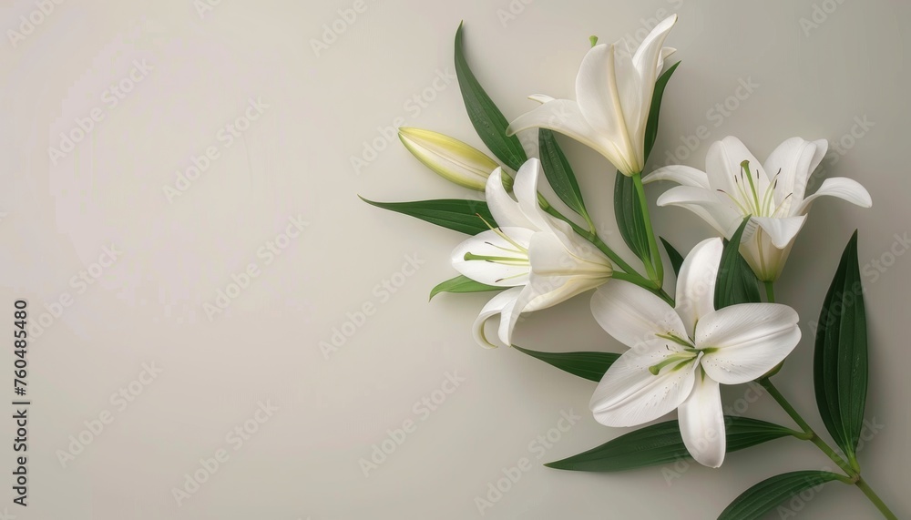 Fototapeta premium Funeral lily flower on white background with generous space for text placement and design creativity