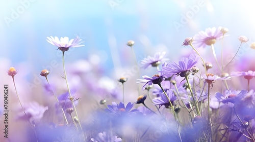 Serenata de flores silvestres azuis em beleza natural
 photo