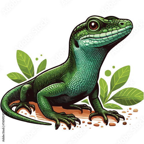 Anole Lizard vector illustration on white background